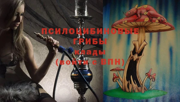 крисы Абдулино