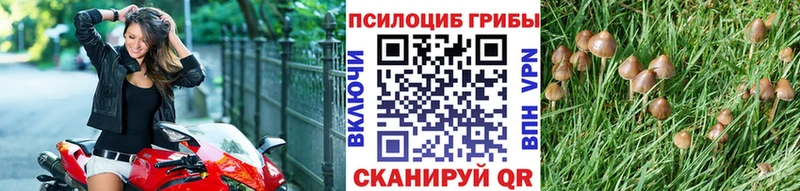 OMG ССЫЛКА  купить   Яблоновский  Галлюциногенные грибы прущие грибы 